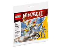 Criatura Dragón de Hielo